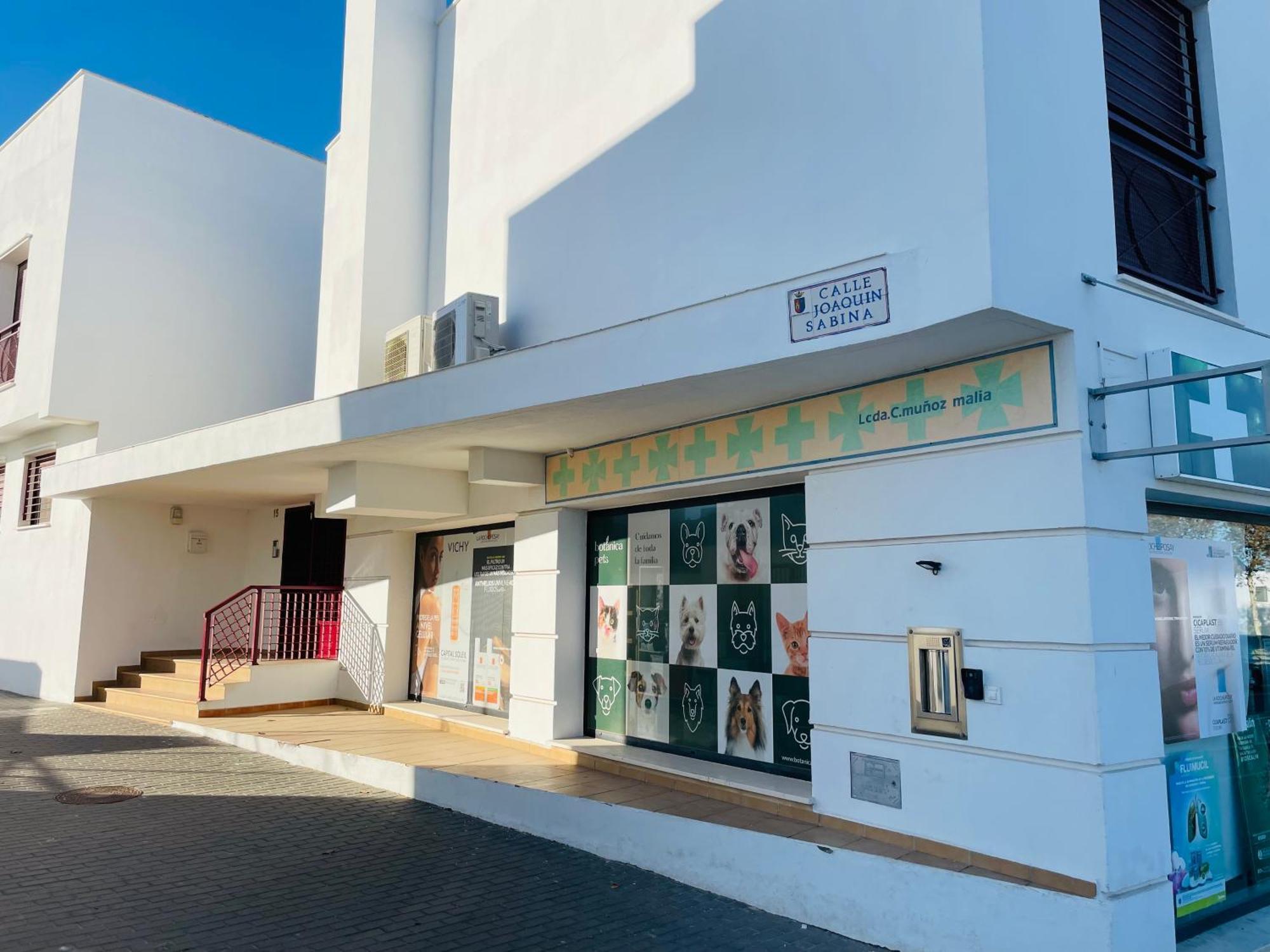 Atico Premium Conil Con 2 Terrazas, Parking, Piscina, Aire Ac Y Wifi -Solo Familias Y Parejas- Lägenhet Conil De La Frontera Exteriör bild